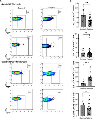 Biologics targeting IL-17 sharply reduce circulating T follicular helper and T peripheral helper cell sub-populations in psoriasis